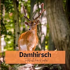Damhirsch fotobuch kinder gebraucht kaufen  Wird an jeden Ort in Deutschland