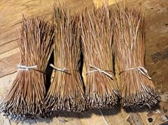 Tall pine short for sale  Delivered anywhere in USA 
