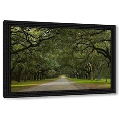 Artdirect live oak for sale  Delivered anywhere in USA 
