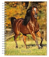 Horse lovers 2024 for sale  Delivered anywhere in USA 