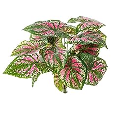 Artificielles.com caladium art d'occasion  Livré partout en Belgiqu