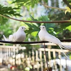 2pcs white doves for sale  Delivered anywhere in USA 