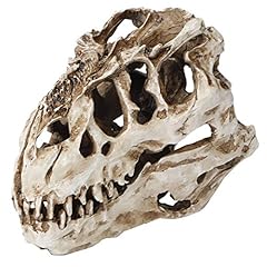 Gaeshow dinosaur skull for sale  Delivered anywhere in Ireland