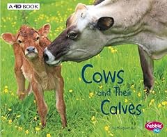 Cows calves 4d for sale  Delivered anywhere in USA 