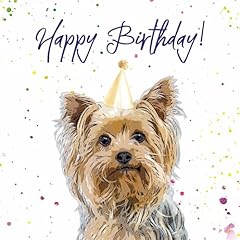 Yorkshire terrier birthday for sale  Delivered anywhere in UK