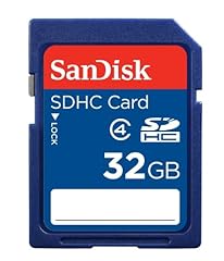 Sandisk standard flash for sale  Delivered anywhere in USA 