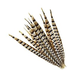 Pcs reeves pheasant for sale  Delivered anywhere in USA 