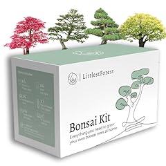 Littlestforest kit bonsai usato  Spedito ovunque in Italia 