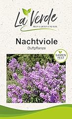 Nachtviole hesperis blumensame gebraucht kaufen  Wird an jeden Ort in Deutschland