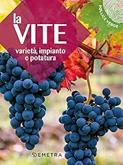 Vite varietà impianto usato  Spedito ovunque in Italia 
