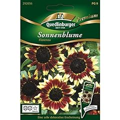 Sonnenblumen florenza gebraucht kaufen  Wird an jeden Ort in Deutschland