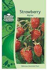 Simply garden strawberry for sale  Delivered anywhere in UK