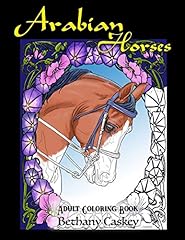 Arabian horses adult for sale  Delivered anywhere in USA 