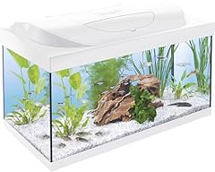 Acquario tetra starter usato  Spedito ovunque in Italia 