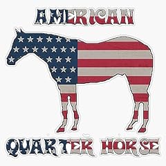 Quarter horse american for sale  Delivered anywhere in USA 