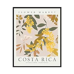 Costa rica national for sale  Delivered anywhere in USA 