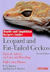 Leopard fat tailed for sale  Delivered anywhere in USA 
