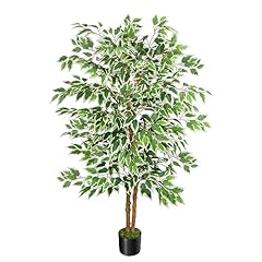 Gtidea 5ft ficus for sale  Delivered anywhere in USA 