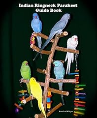 Indian ringneck parakeet for sale  Delivered anywhere in USA 