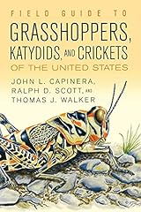 Field guide grasshoppers for sale  Delivered anywhere in UK