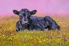 Black angus calf for sale  Delivered anywhere in USA 