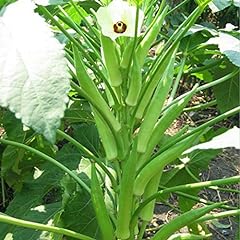 Fresh okra clemson for sale  Delivered anywhere in USA 