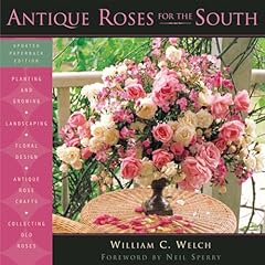 Antique roses south for sale  Delivered anywhere in USA 