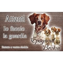 Attenti cane epagneul usato  Spedito ovunque in Italia 