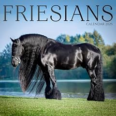 Friesian horse calendar for sale  Delivered anywhere in USA 