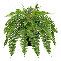 Hollyone artificial fern for sale  Delivered anywhere in USA 