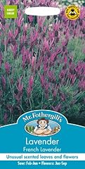 Fothergill 23939 flower for sale  Delivered anywhere in UK