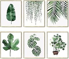 Ytfg botanical plant for sale  Delivered anywhere in UK