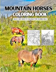 Mountain horses black gebraucht kaufen  Wird an jeden Ort in Deutschland
