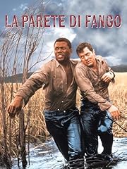 Parete fango usato  Spedito ovunque in Italia 