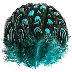 Tharaht pheasant plumage for sale  Delivered anywhere in USA 