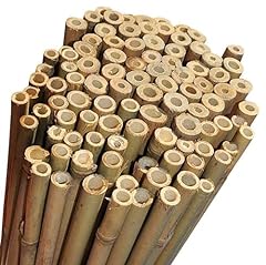 Niccolai canne bamboo usato  Spedito ovunque in Italia 