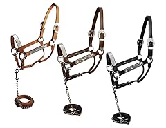 Leather show halter for sale  Delivered anywhere in USA 