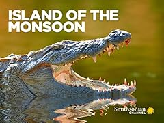 Island monsoon for sale  Delivered anywhere in USA 