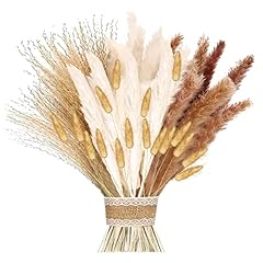 Pampa naturale pezzi usato  Spedito ovunque in Italia 
