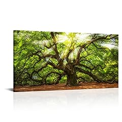 Conipit landscape canvas for sale  Delivered anywhere in USA 