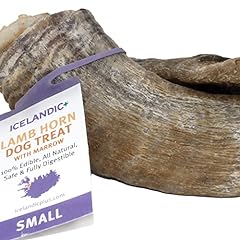 Icelandic small lamb for sale  Delivered anywhere in USA 