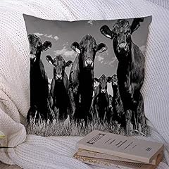 Decorative pillow covers for sale  Delivered anywhere in USA 