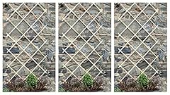 Garden mile trellis for sale  Delivered anywhere in UK