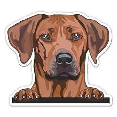 Rhodesian ridgeback stickers for sale  Delivered anywhere in USA 