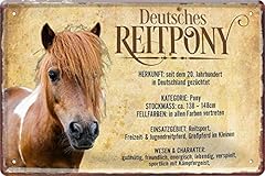 Deutsches reitpony horse gebraucht kaufen  Wird an jeden Ort in Deutschland