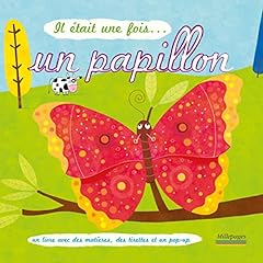 ... papillon livre d'occasion  Livré partout en France