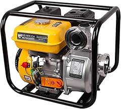 Motorpumpe hmg bwp gebraucht kaufen  Wird an jeden Ort in Deutschland