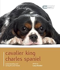 Cavalier king charles d'occasion  Livré partout en France