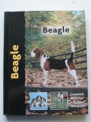 Beagle for sale  Delivered anywhere in UK