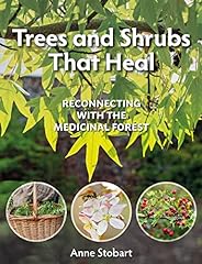 Trees shrubs heal for sale  Delivered anywhere in UK